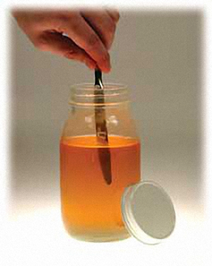 A Jar filled with Honey
