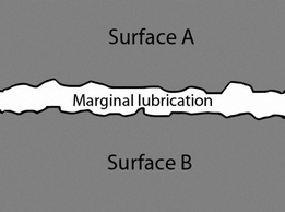 Mixed Film Lubrication